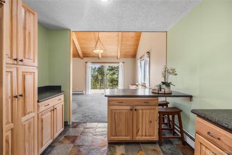 30915 Walter Drive Conifer CO 80433