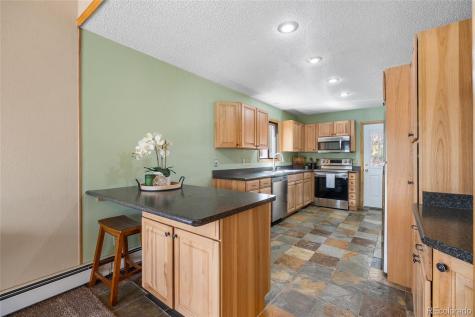 30915 Walter Drive Conifer CO 80433