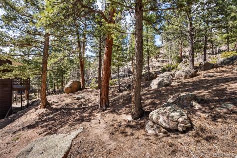 30915 Walter Drive Conifer CO 80433