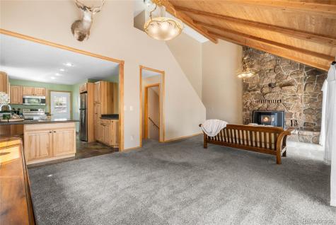 30915 Walter Drive Conifer CO 80433