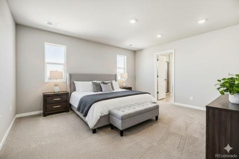 13749 Daffodil Point Parker CO 80134