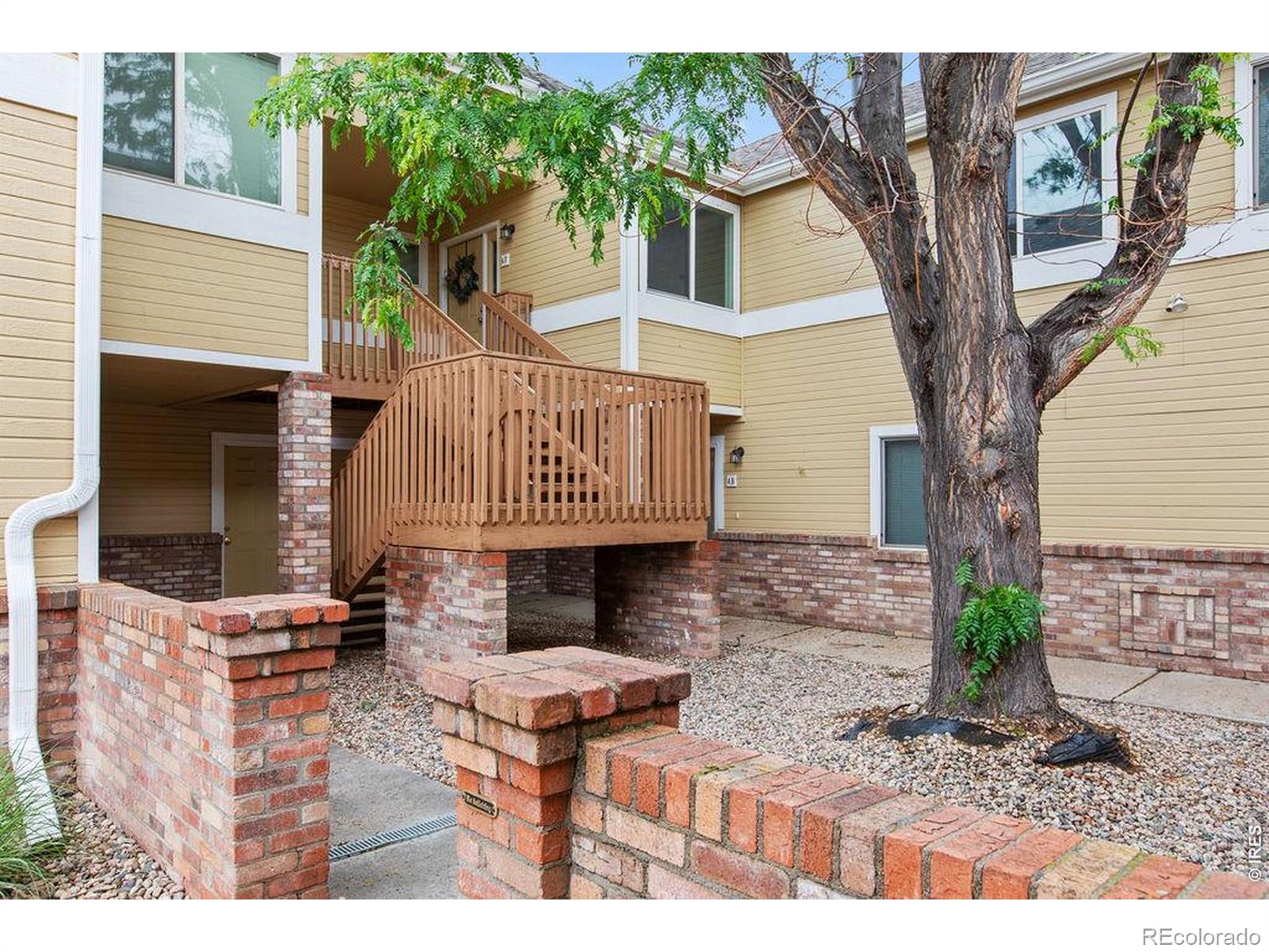 1020 Rolland Moore Drive Fort Collins CO 80526