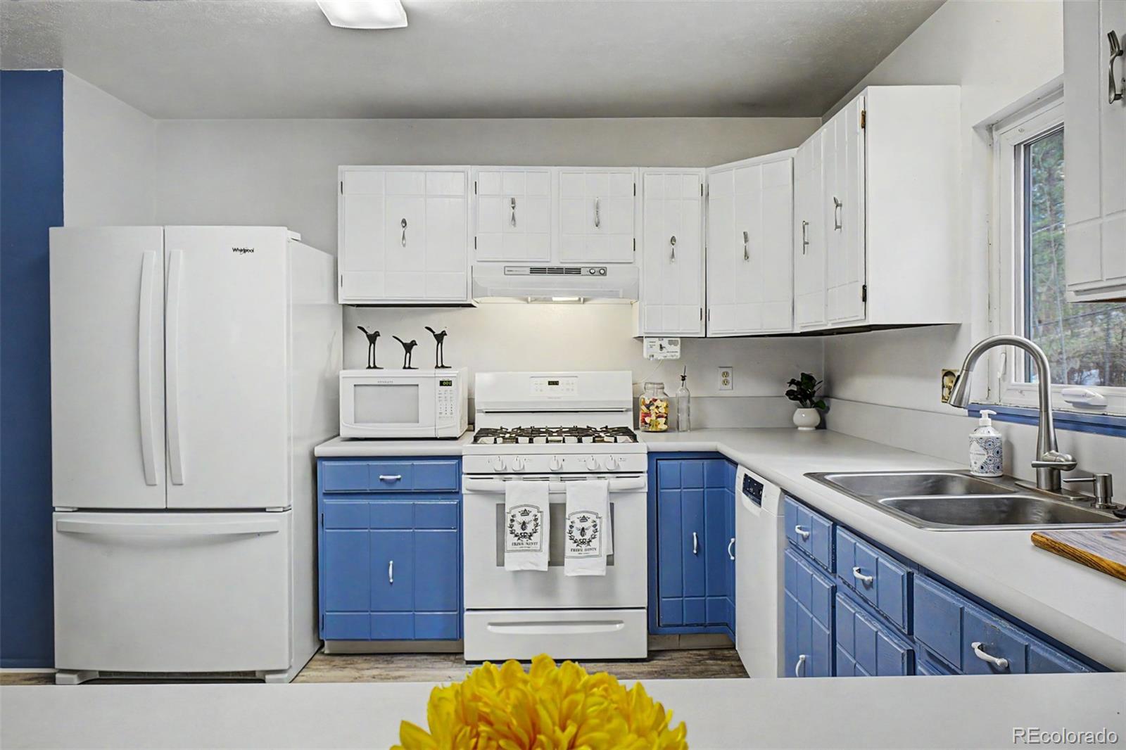 5302 S Pine Road Evergreen CO 80439