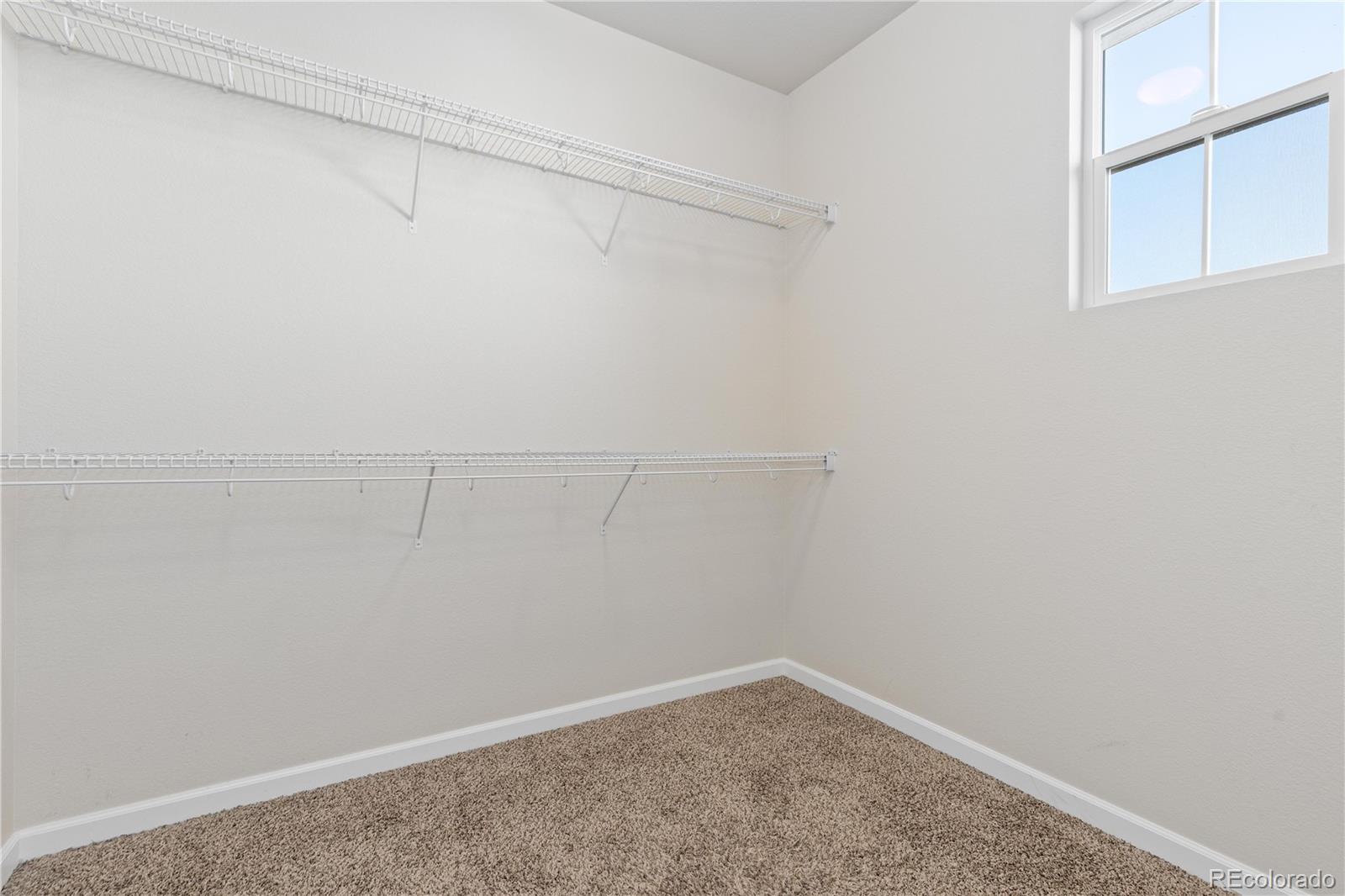 476 Cholla Drive Loveland CO 80537
