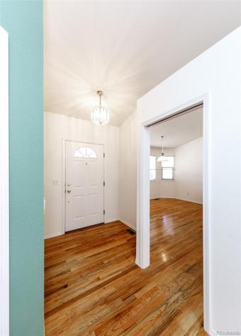 1215 Bison Ridge Drive Colorado Springs CO 80919