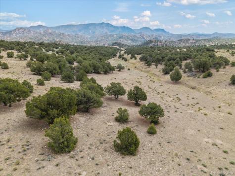 11355 E County Road 270 Nathrop CO 81236