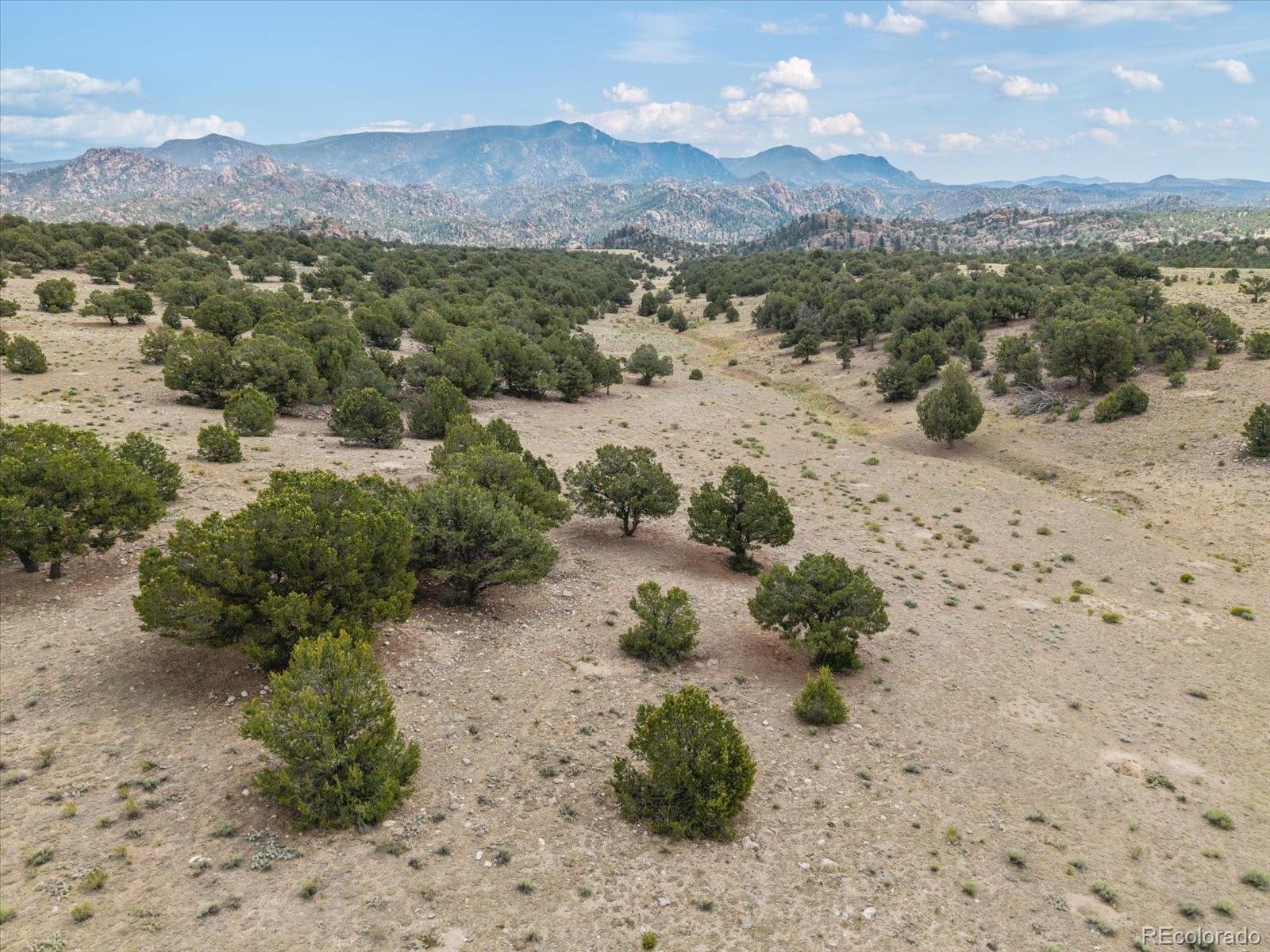 11355 E County Road 270 Nathrop CO 81236