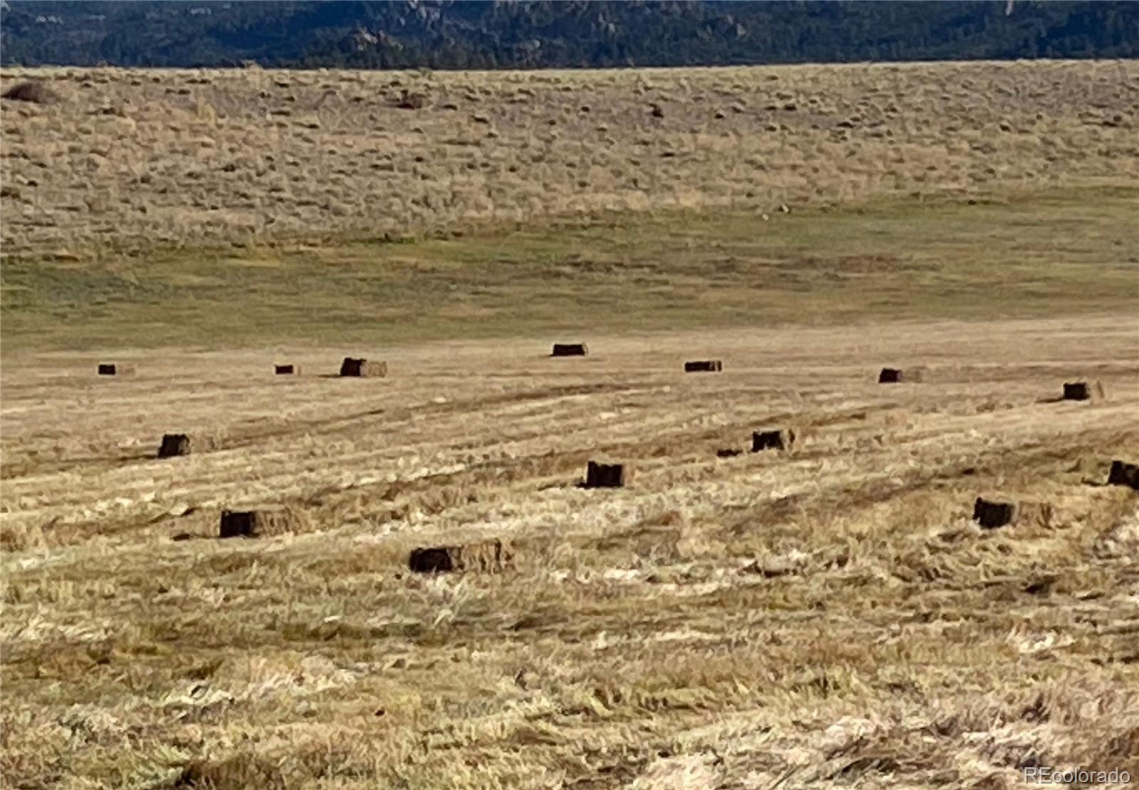 11355 E County Road 270 Nathrop CO 81236