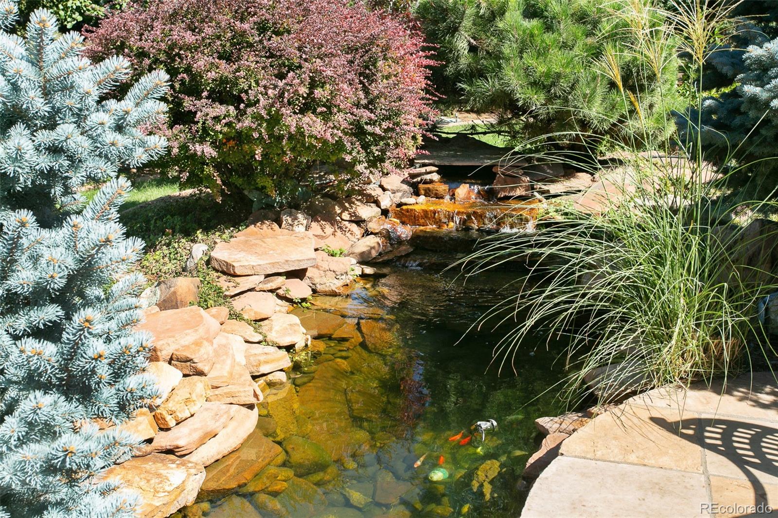 4443 W Cottonwood Place Littleton CO 80123