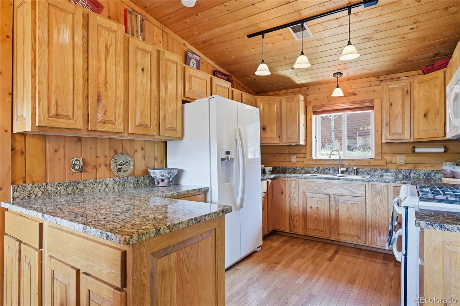 124 Prospectors Way Bailey CO 80421