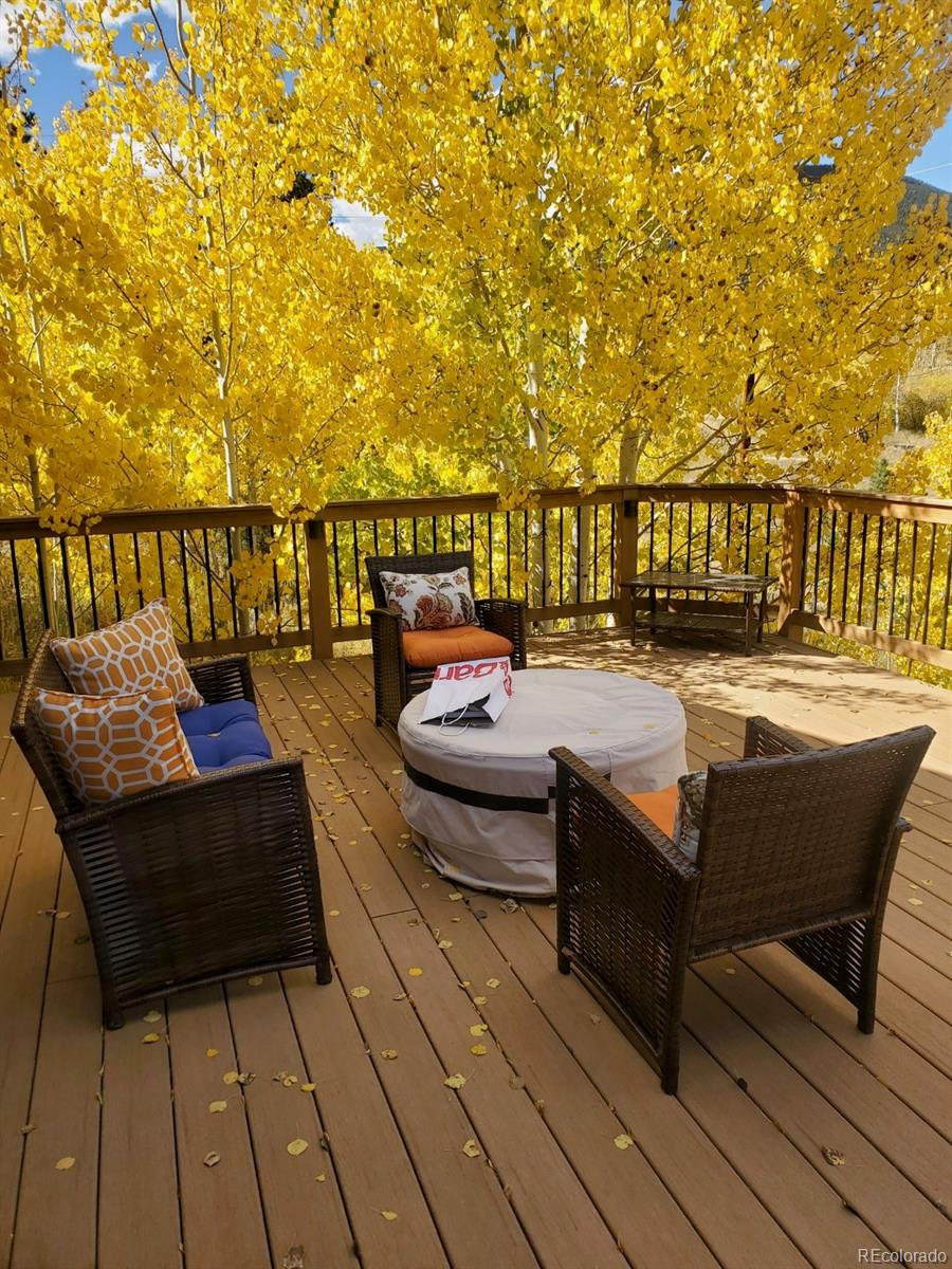 124 Prospectors Way Bailey CO 80421