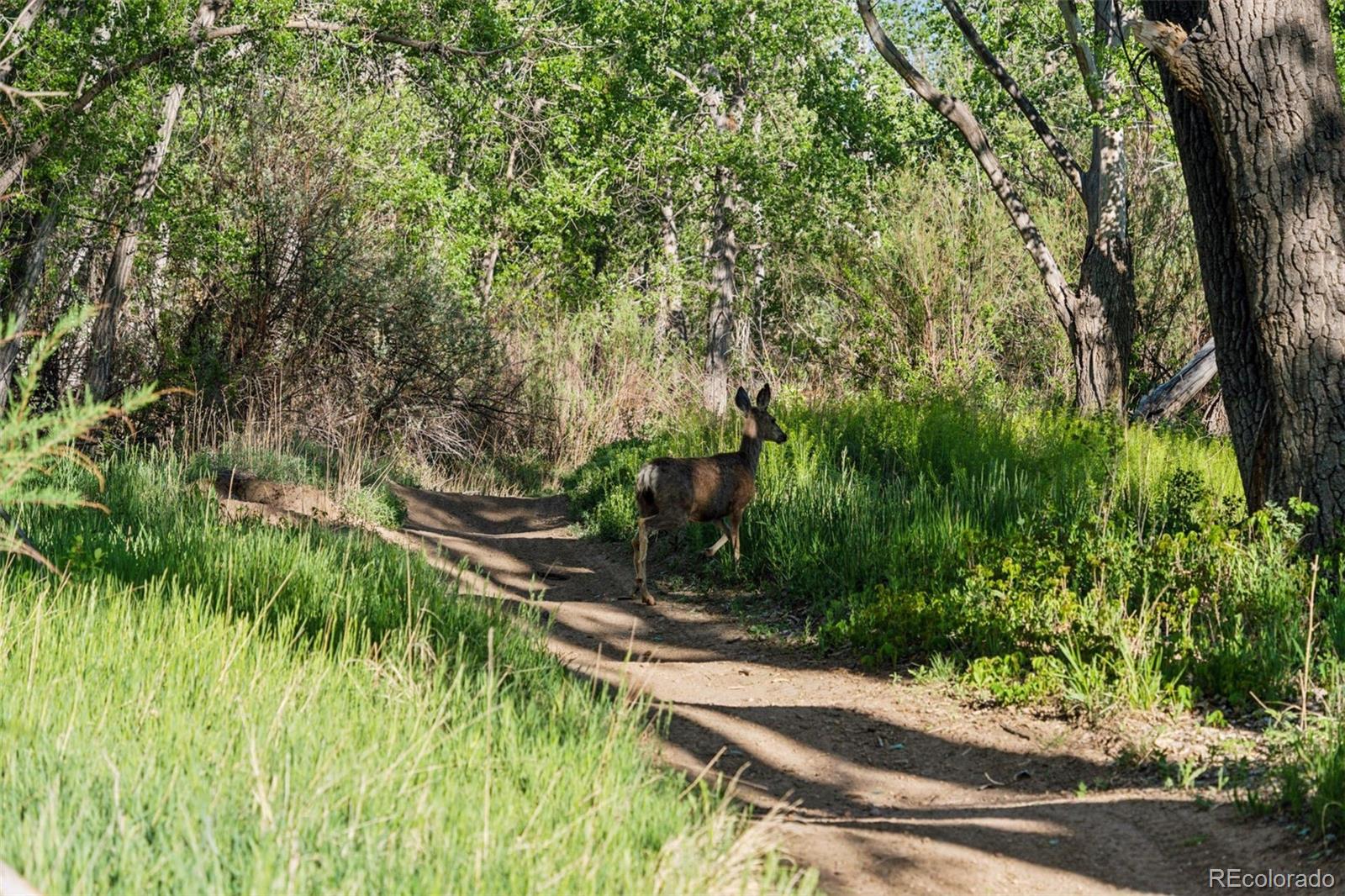 16880-16885 Old Pueblo Road Fountain CO 80817