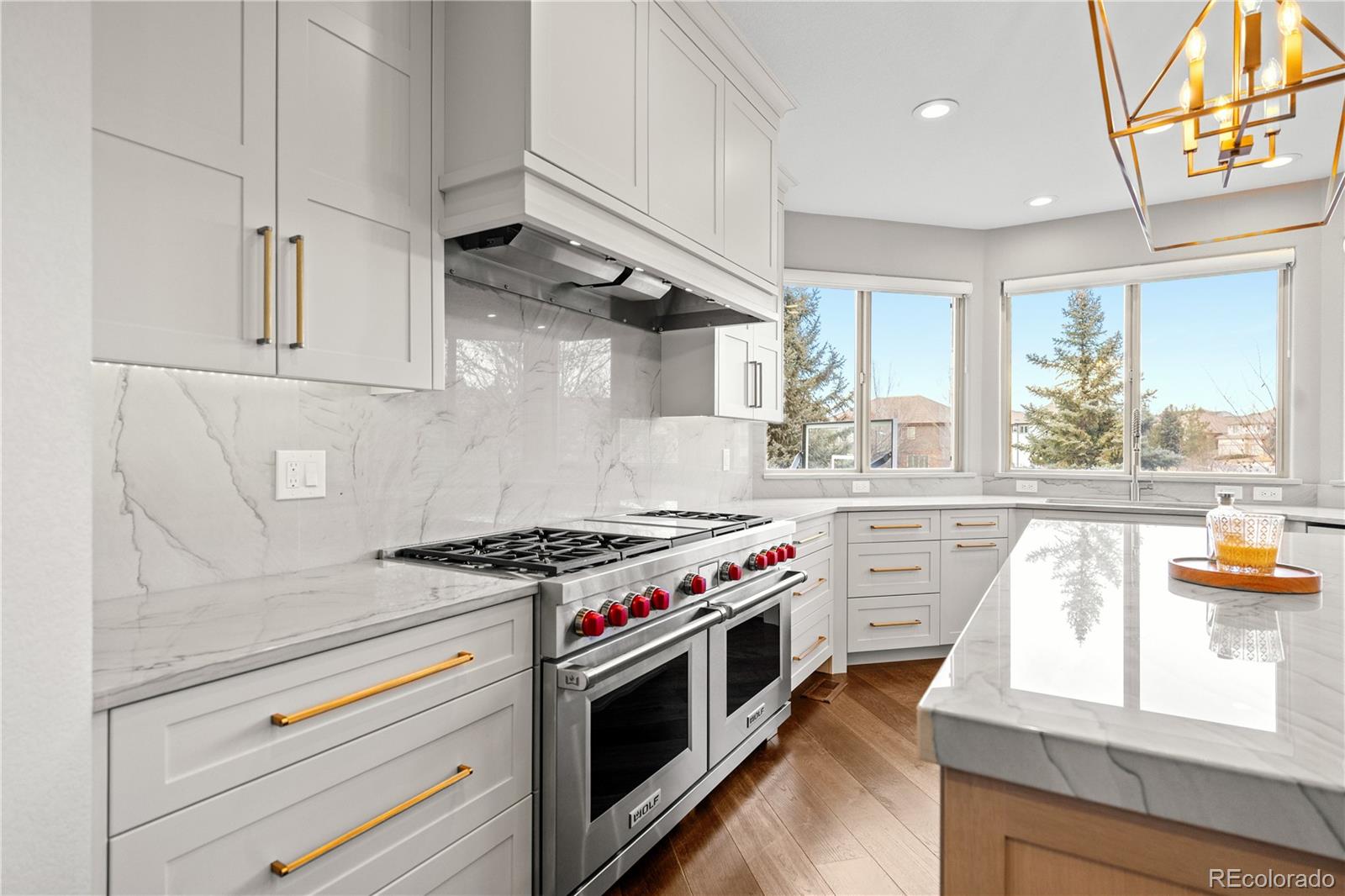 9545 E Hidden Hill Lane Lone Tree CO 80124