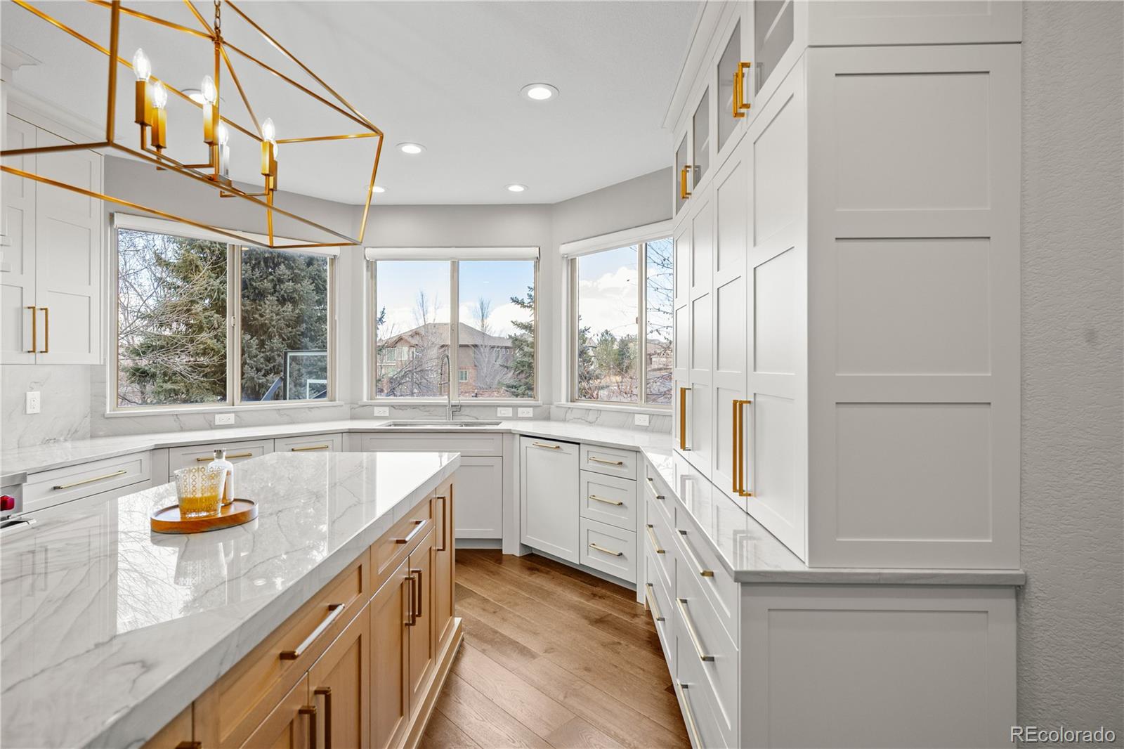 9545 E Hidden Hill Lane Lone Tree CO 80124