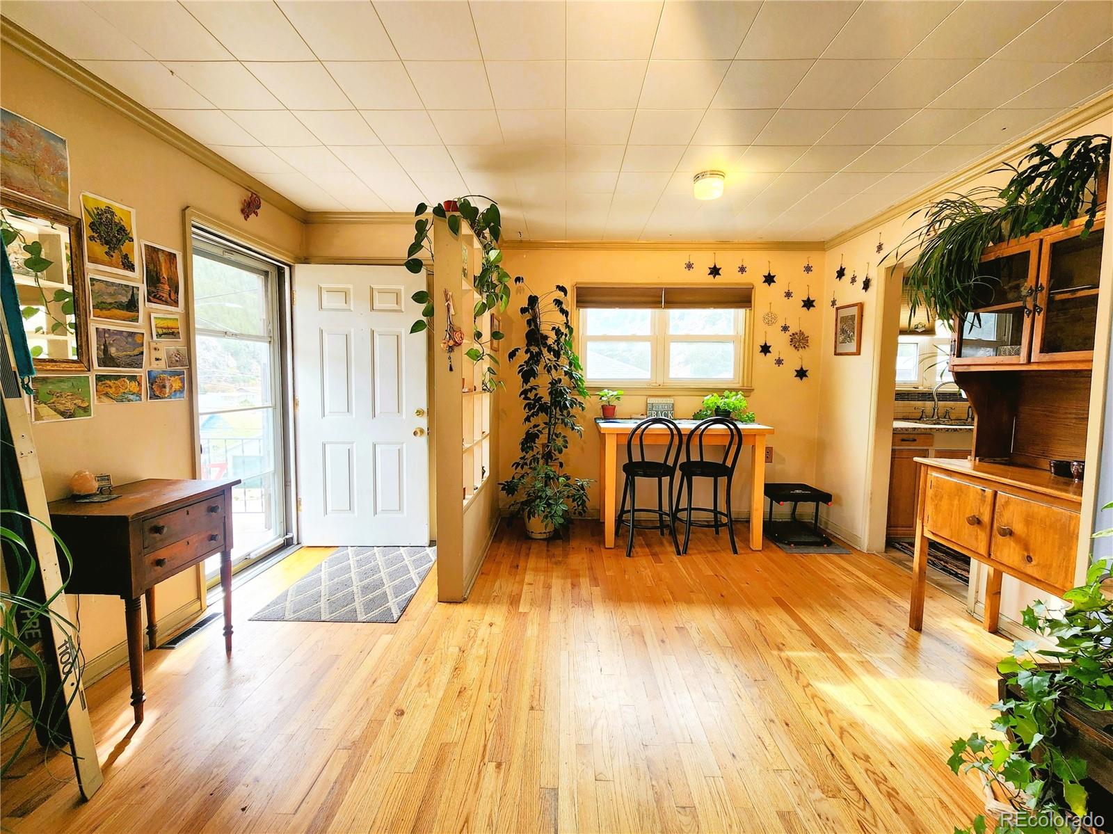 310 Virginia Street Idaho Springs CO 80452