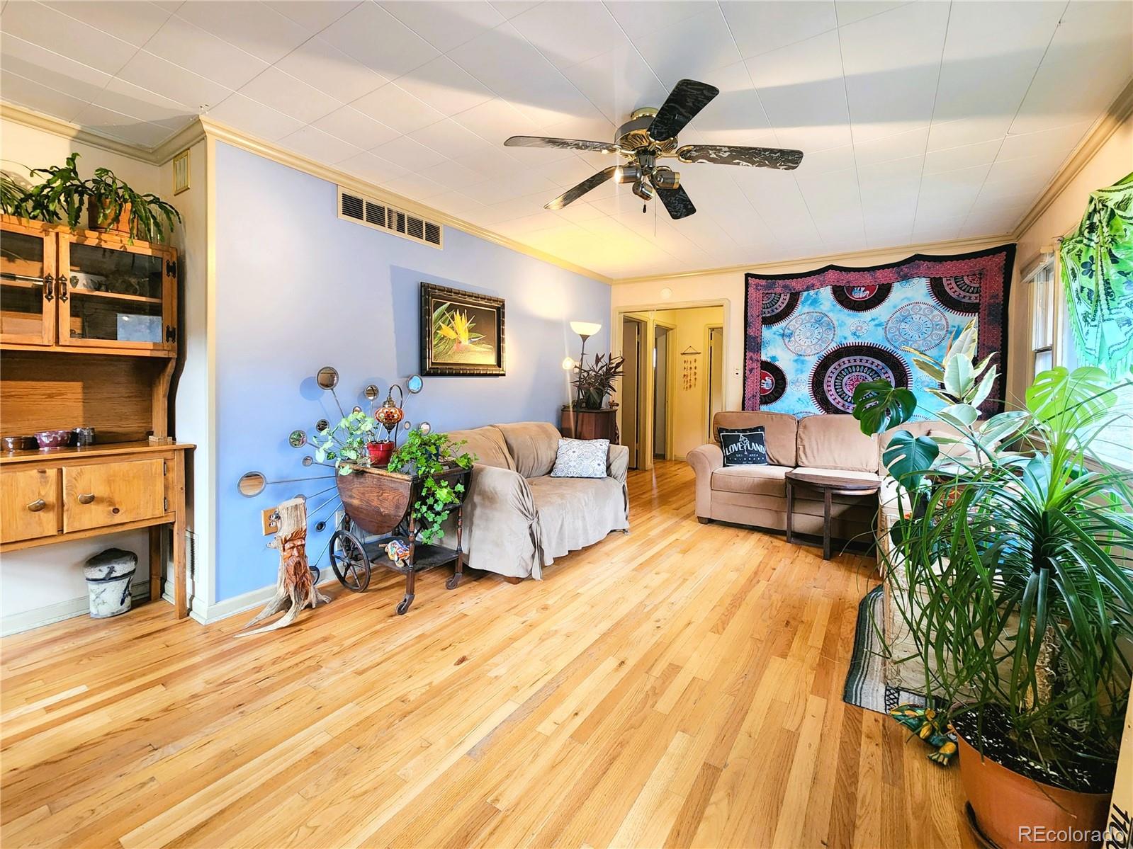 310 Virginia Street Idaho Springs CO 80452