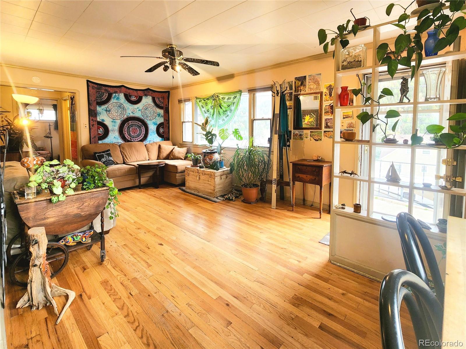 310 Virginia Street Idaho Springs CO 80452