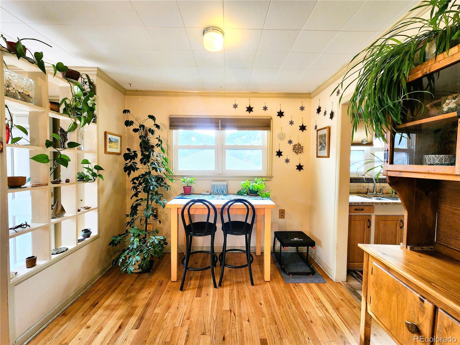 310 Virginia Street Idaho Springs CO 80452