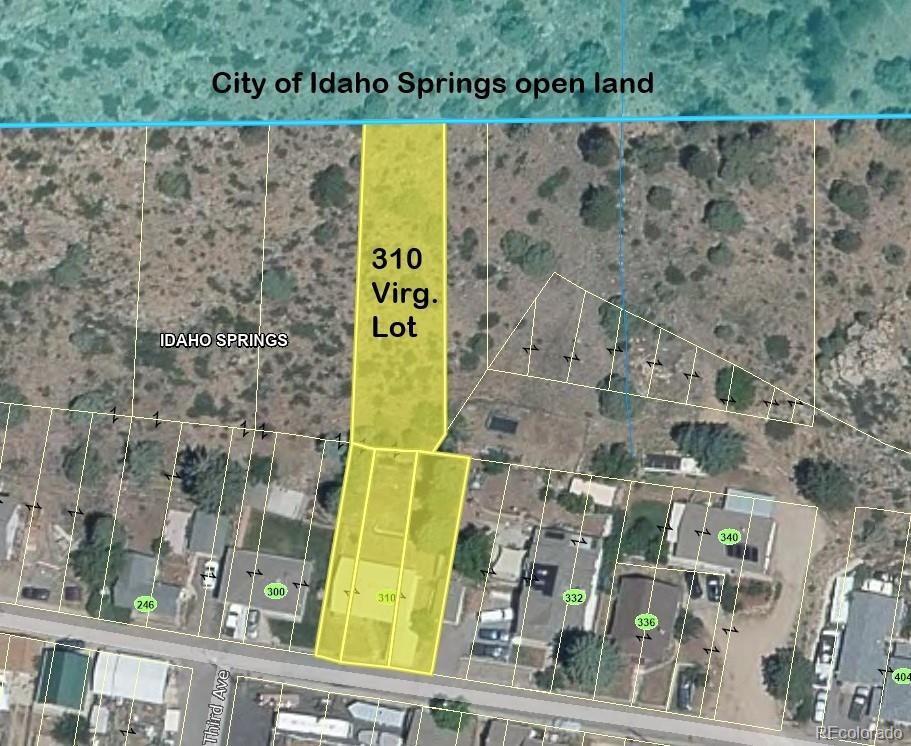 310 Virginia Street Idaho Springs CO 80452