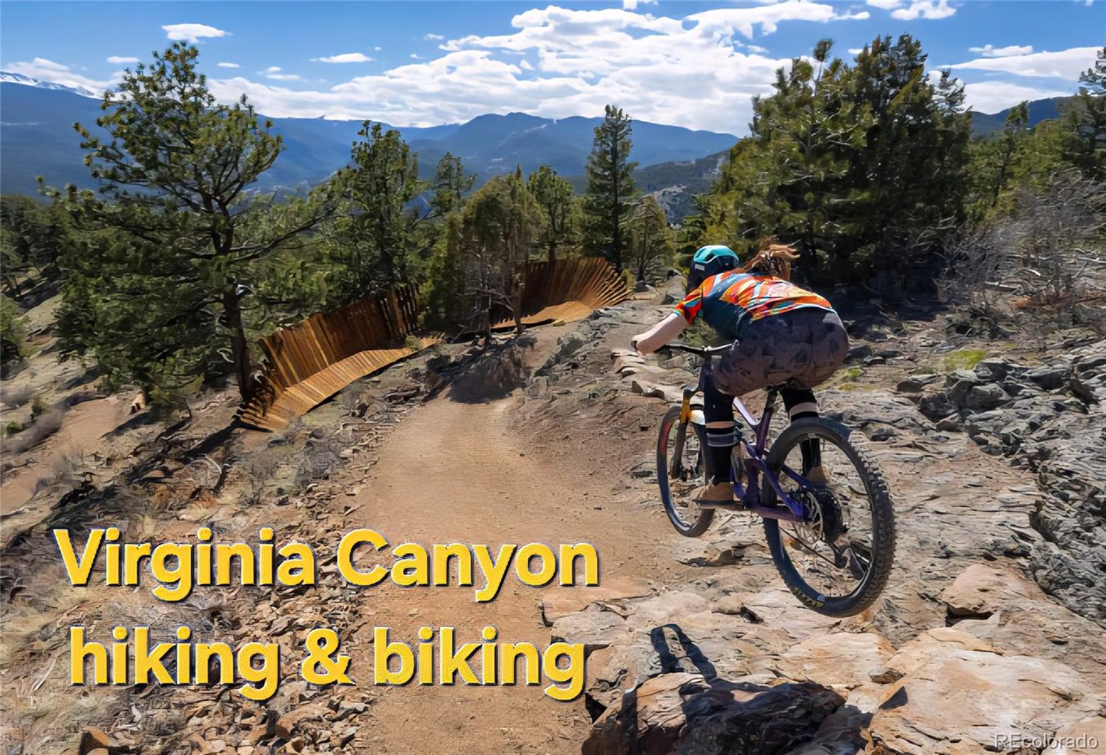 310 Virginia Street Idaho Springs CO 80452