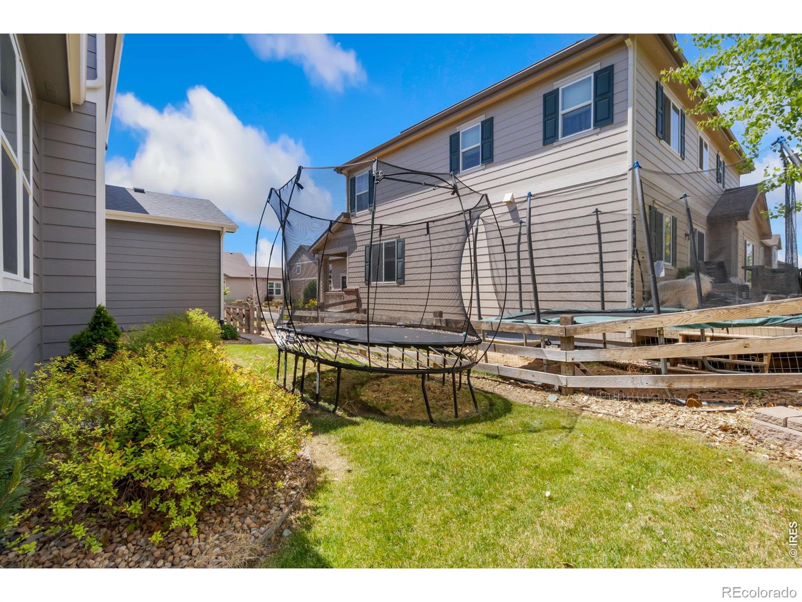 1526 Reynolds Drive Windsor CO 80550