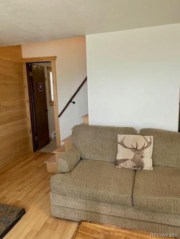 640 Ridgeway Drive Cotopaxi CO 81223