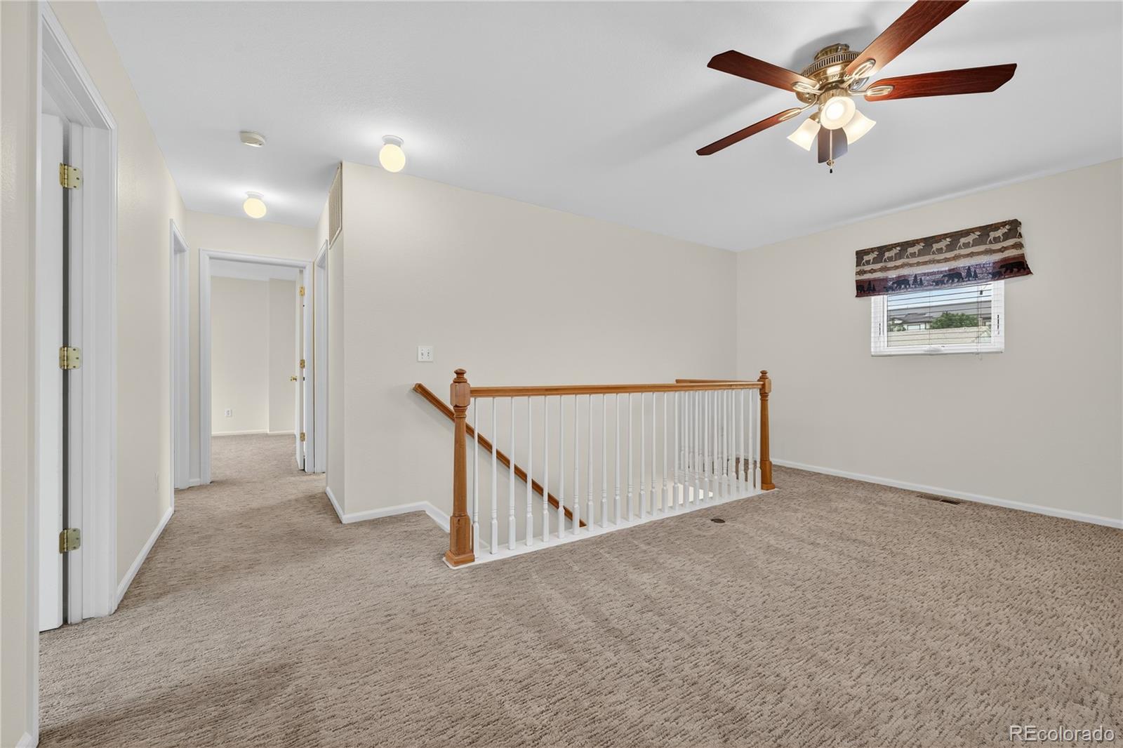 4424 Andes Street Denver CO 80249
