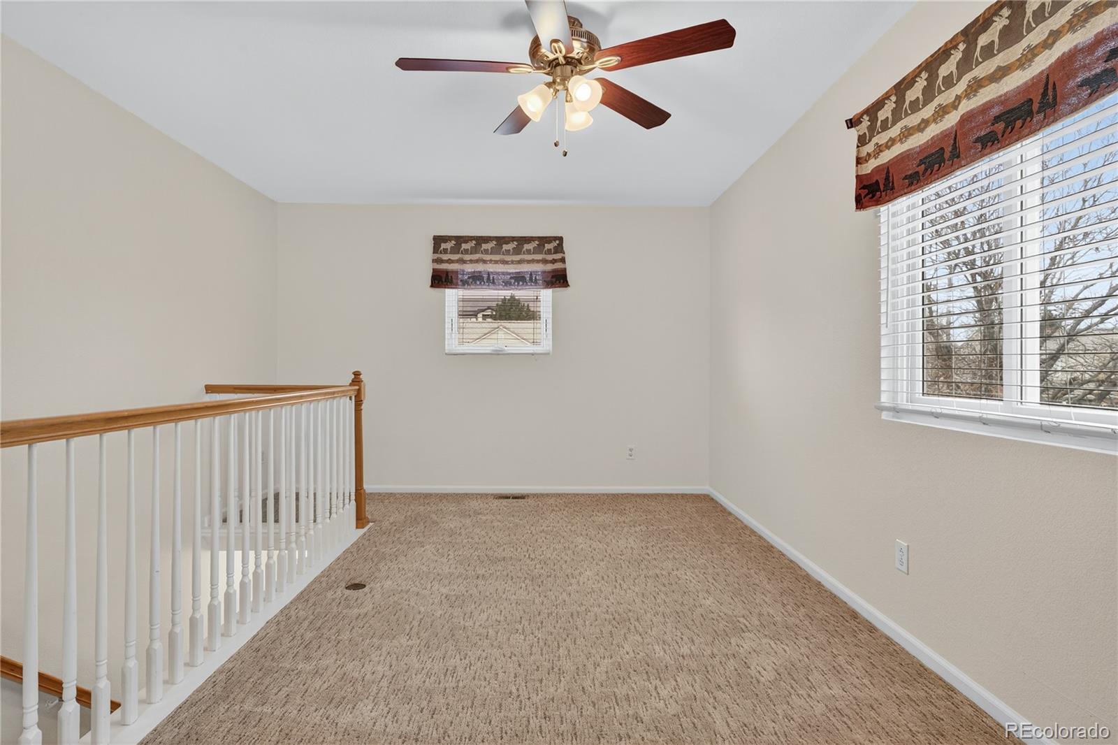 4424 Andes Street Denver CO 80249