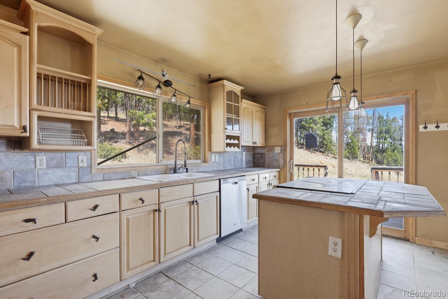 8367 S Warhawk Way Conifer CO 80433