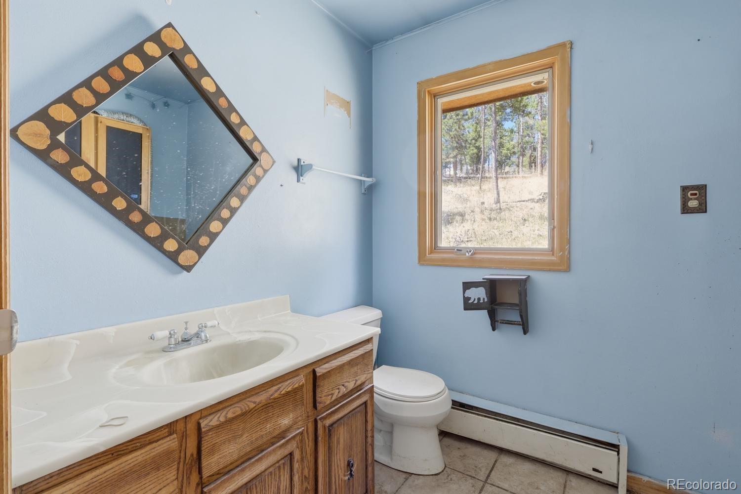 8367 S Warhawk Way Conifer CO 80433
