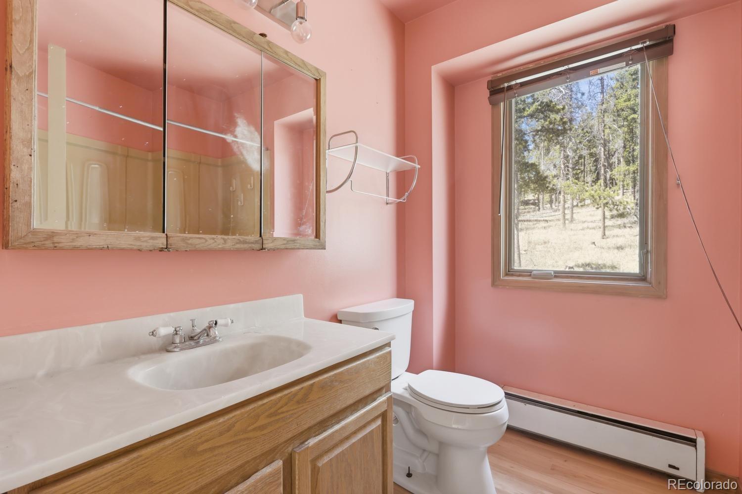 8367 S Warhawk Way Conifer CO 80433