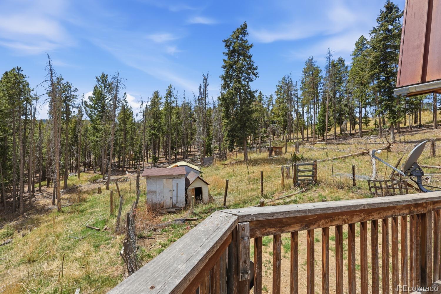 8367 S Warhawk Way Conifer CO 80433