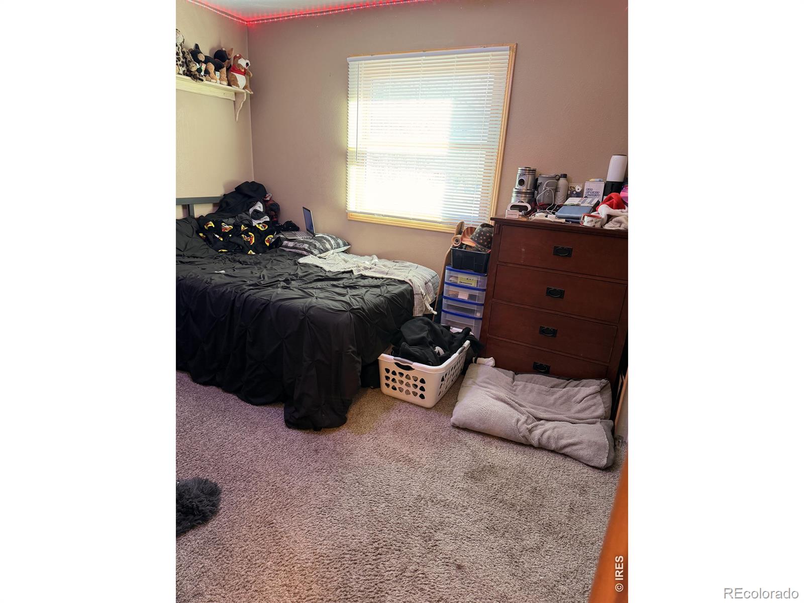 1363 W 6th Street Loveland CO 80537