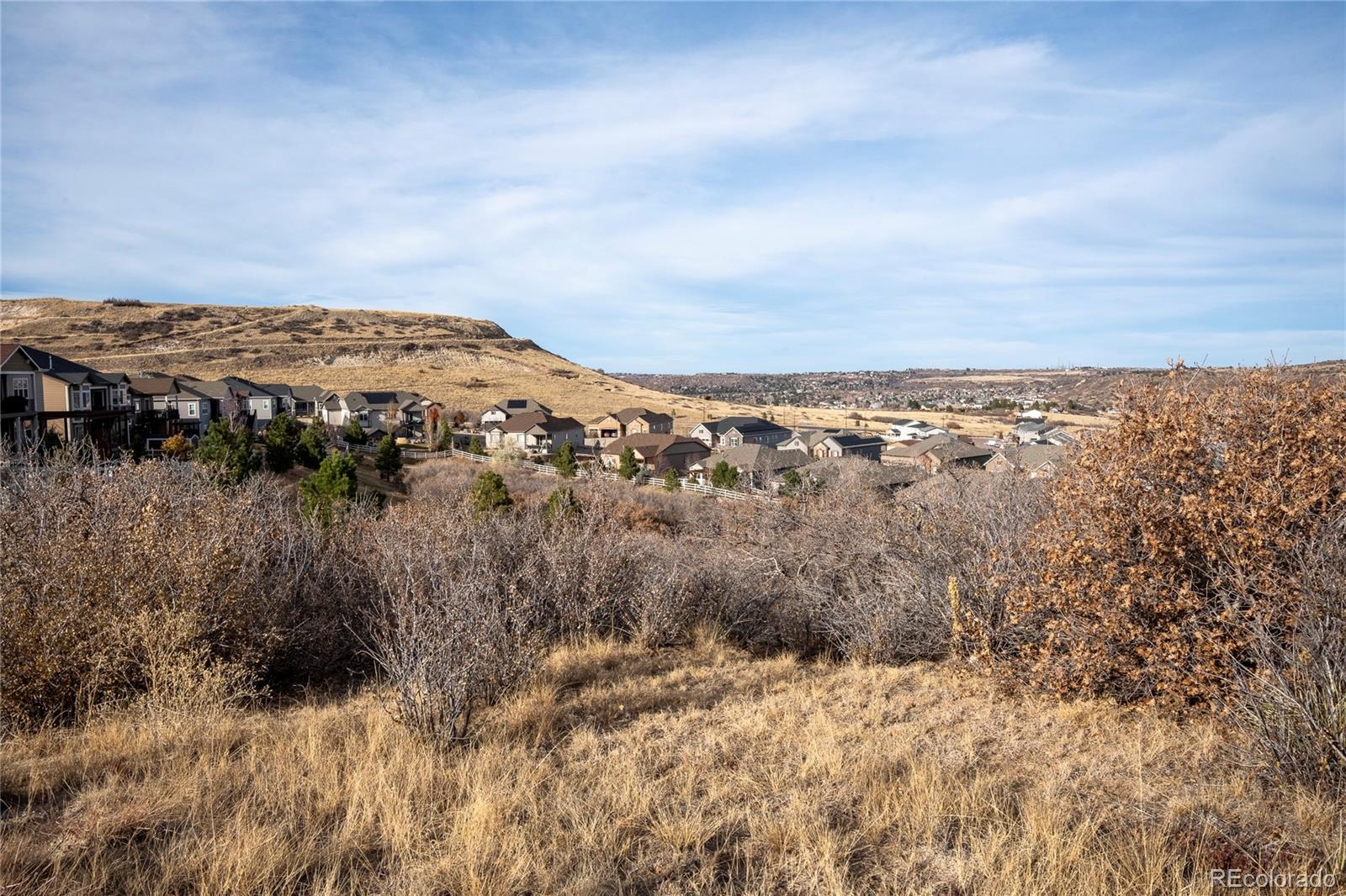 4051 Old Oaks Street Castle Rock CO 80104