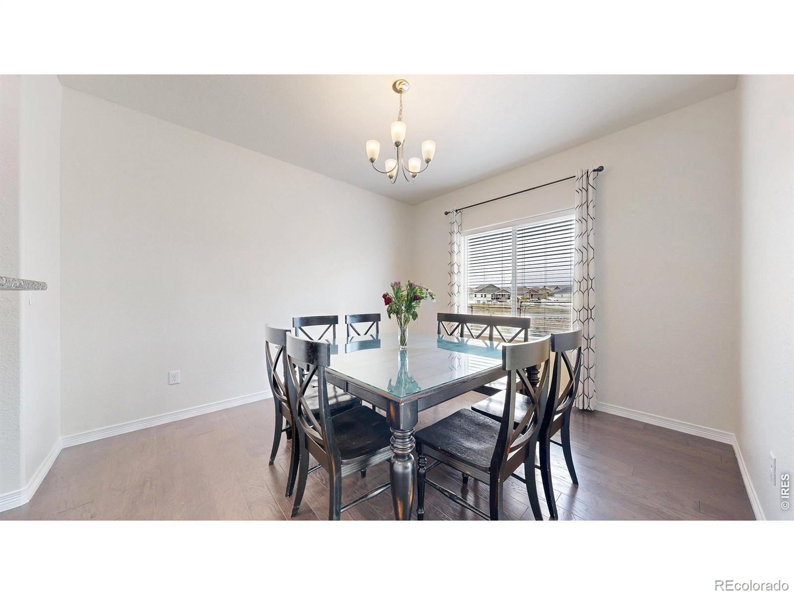 6173 Carmon Court Windsor CO 80550