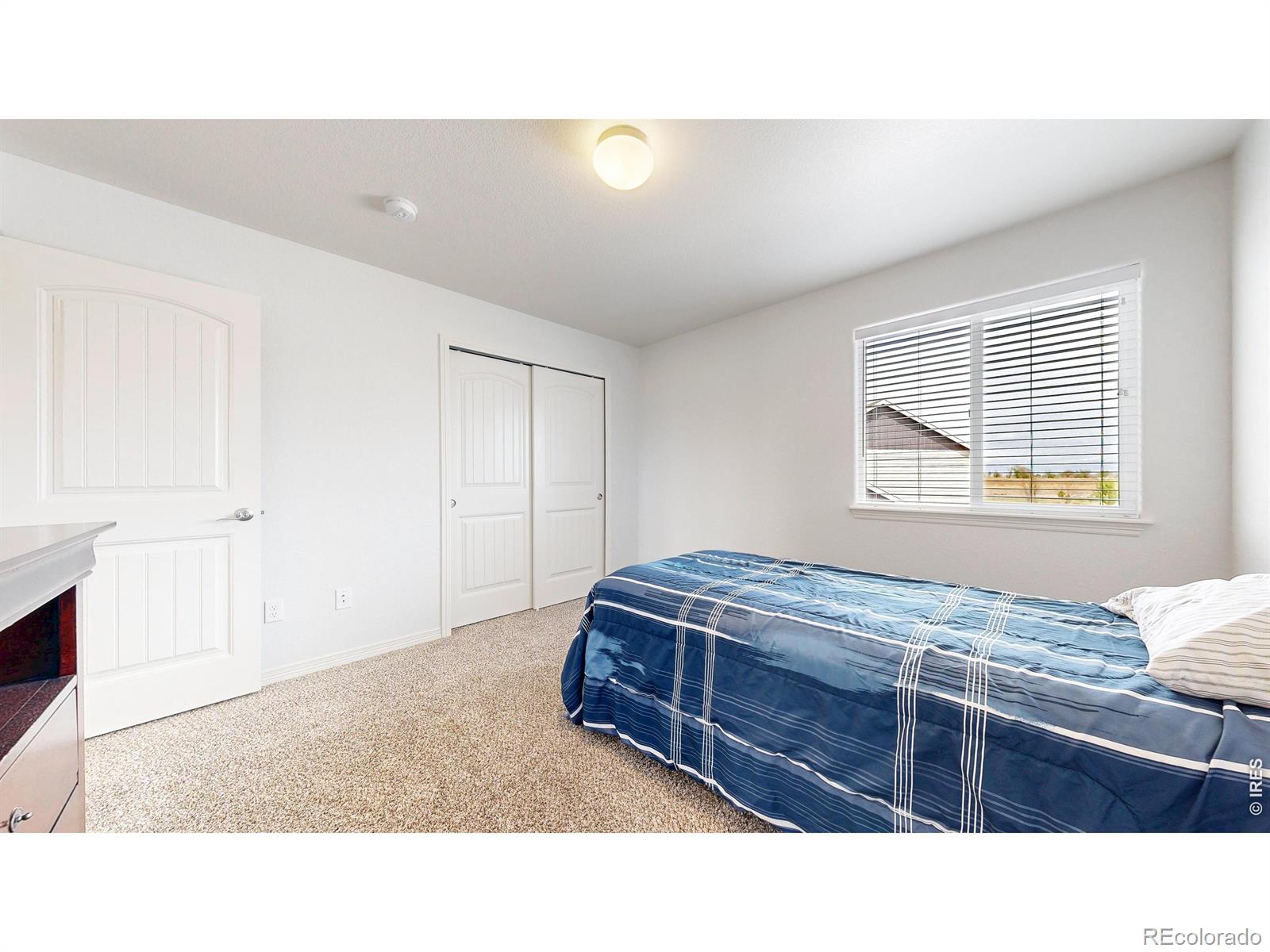 6173 Carmon Court Windsor CO 80550