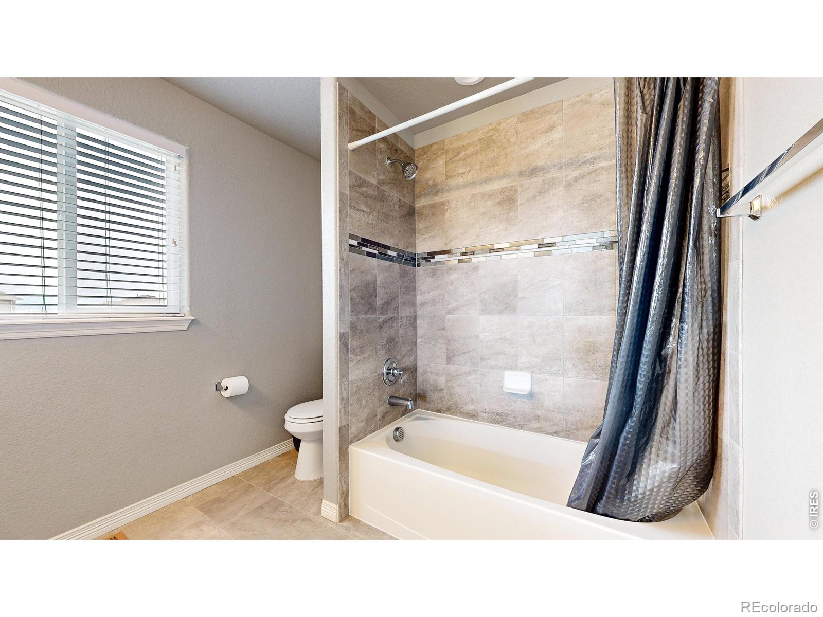 6173 Carmon Court Windsor CO 80550