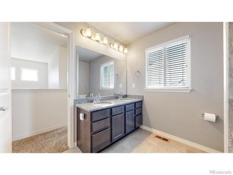 6173 Carmon Court Windsor CO 80550