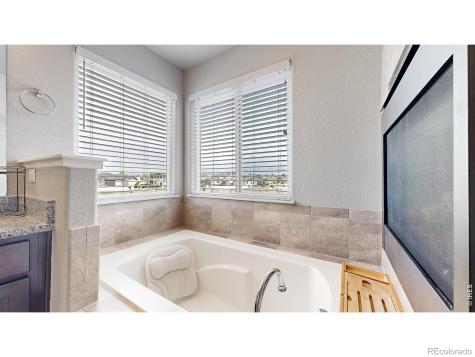 6173 Carmon Court Windsor CO 80550