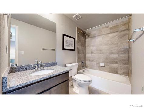 6173 Carmon Court Windsor CO 80550