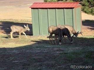 320 Columbine Road Palmer Lake CO 80133