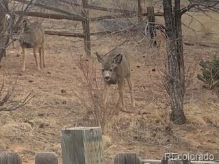 320 Columbine Road Palmer Lake CO 80133