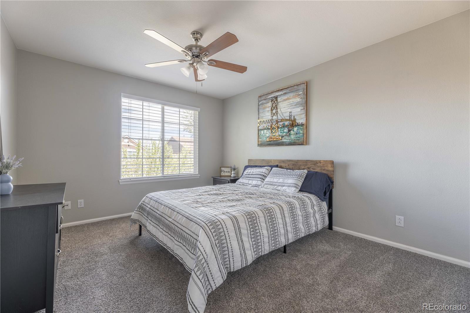 4722 Sutton Street Castle Rock CO 80104