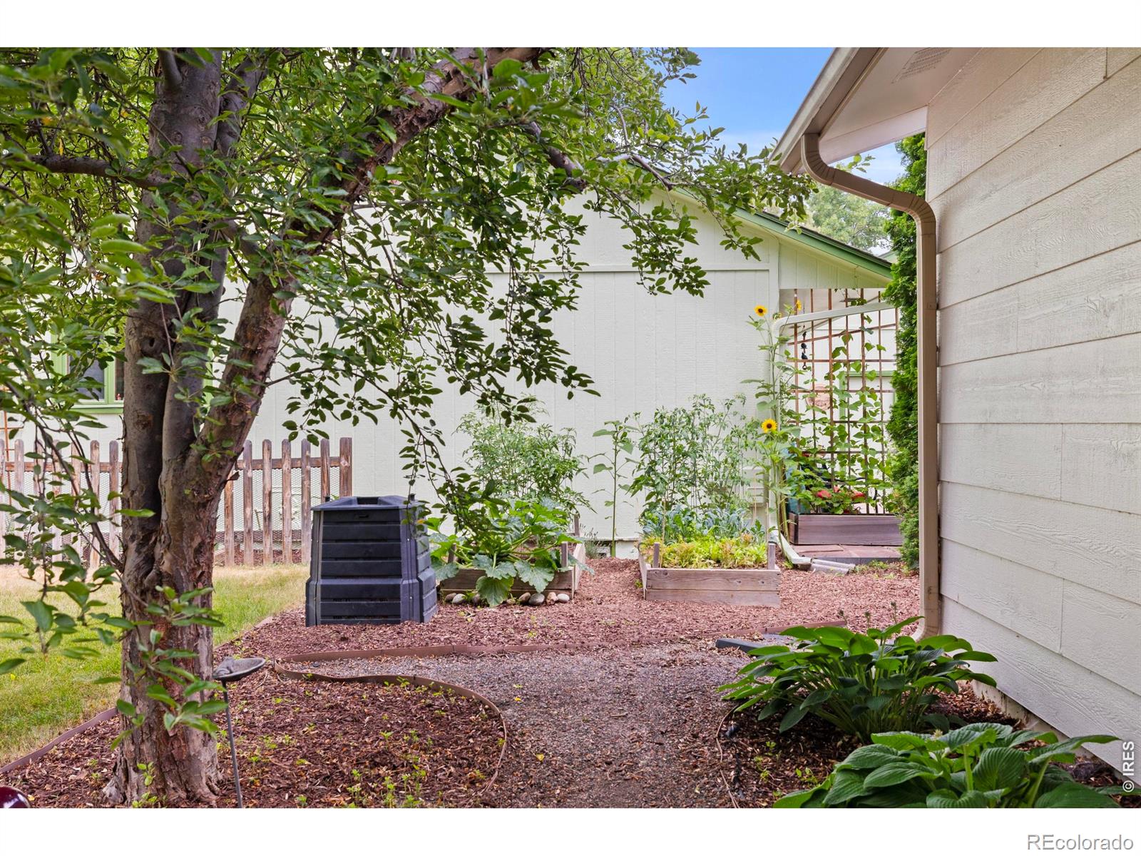 2713 Balmoral Court Fort Collins CO 80525