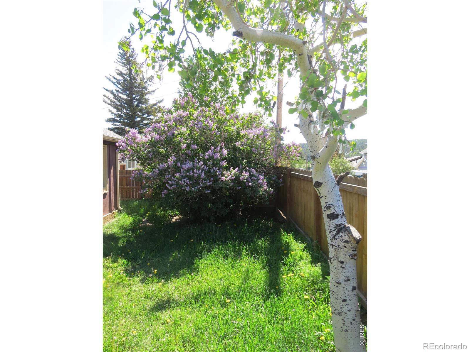 135 E 2nd Street Nederland CO 80466