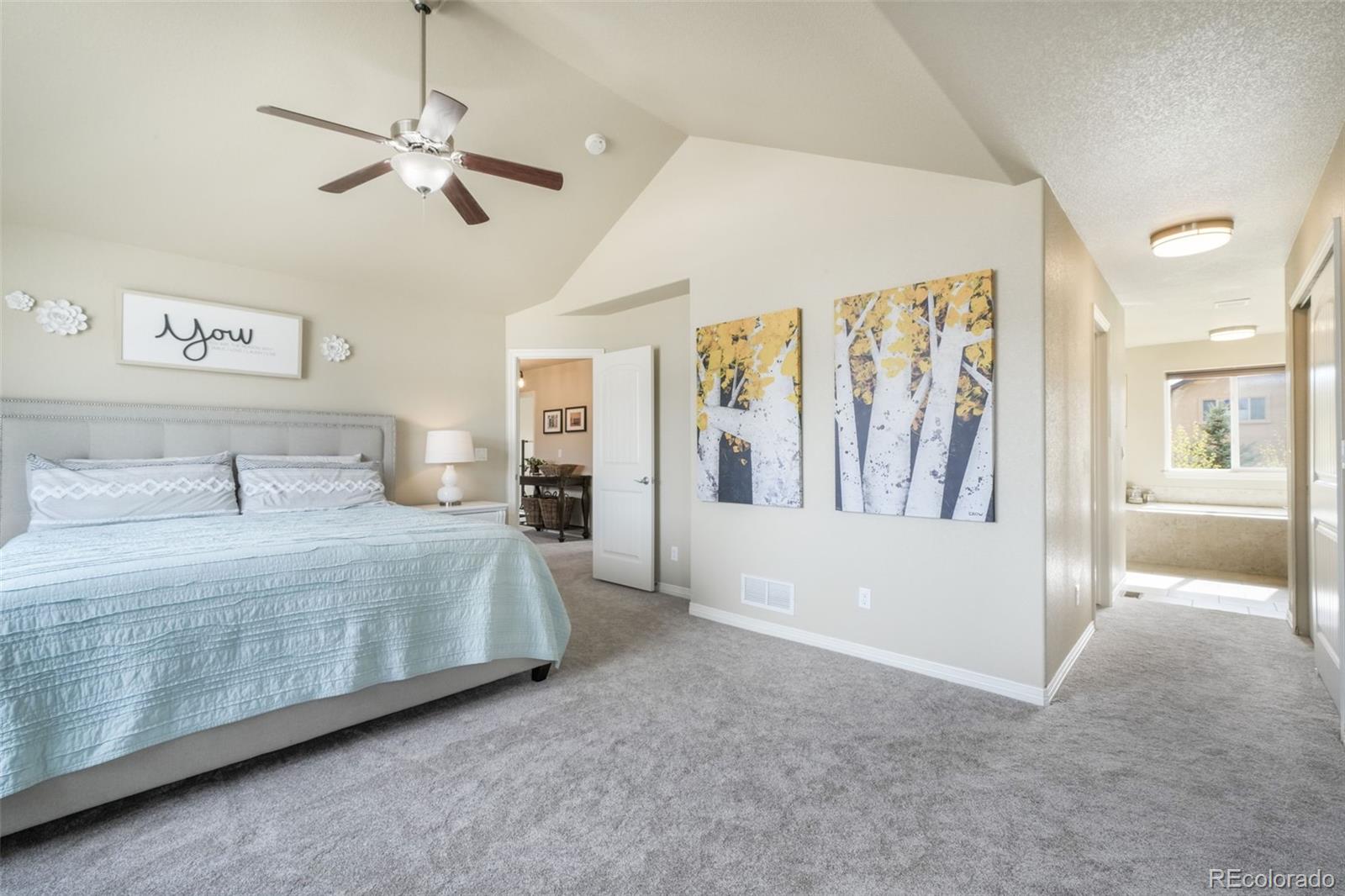 761 Tailings Drive Monument CO 80132