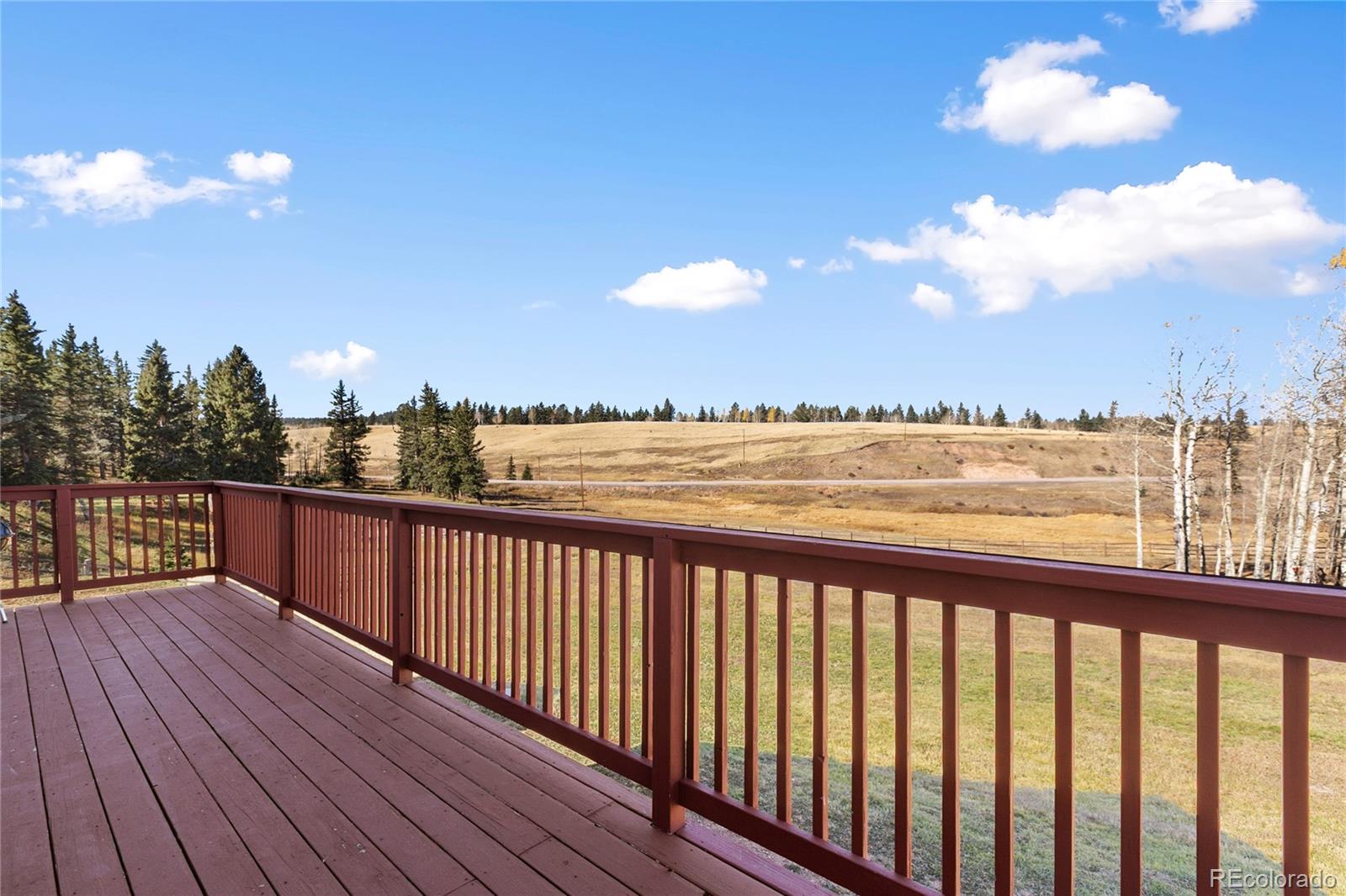 19 Worley Road Divide CO 80814