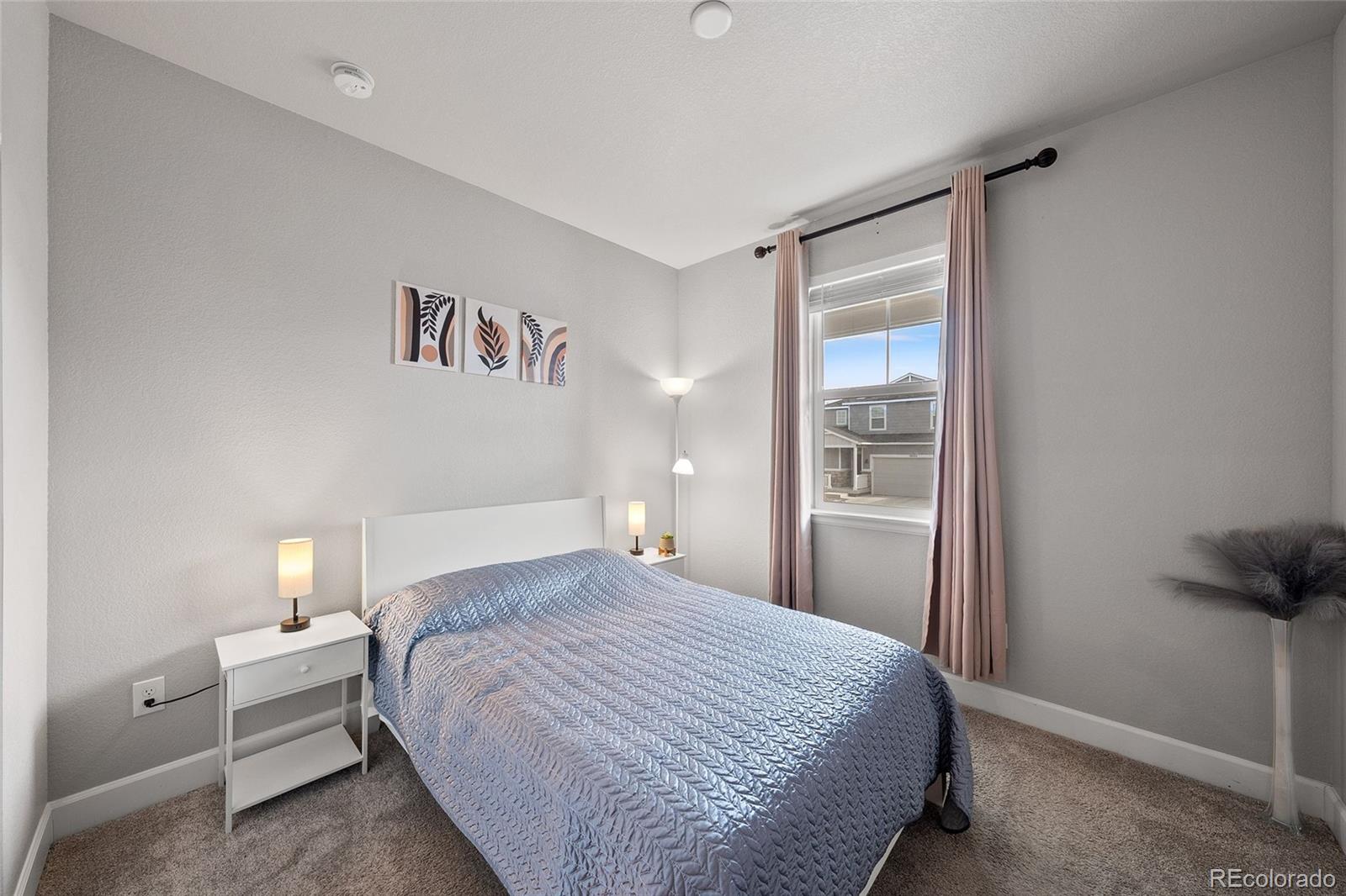 3807 Red Valley Lane Castle Rock CO 80104