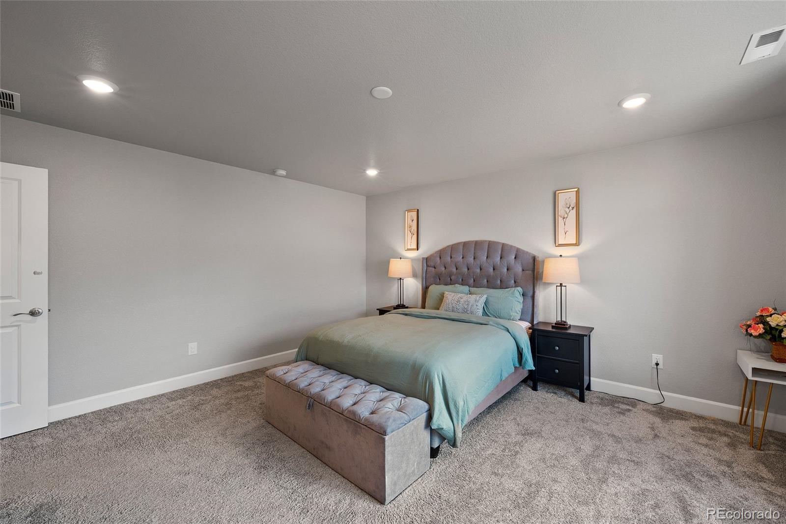 3807 Red Valley Lane Castle Rock CO 80104