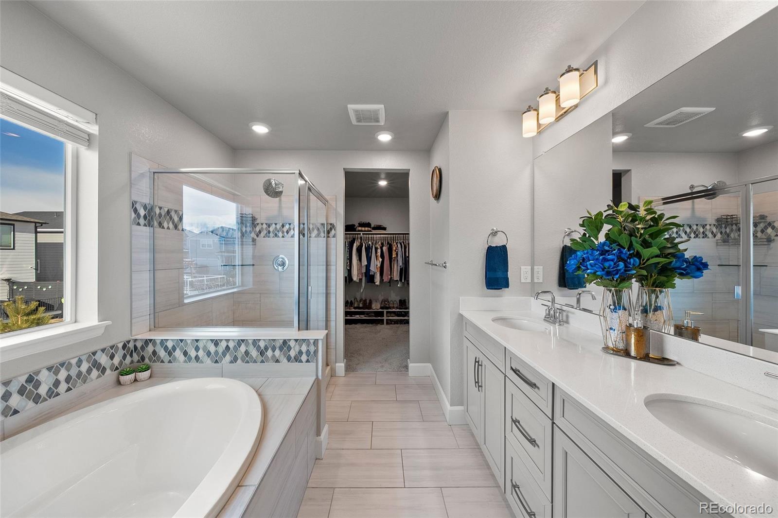 3807 Red Valley Lane Castle Rock CO 80104